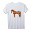 Schönes Rotfuchs Arabisches Pferd T-Shirt - Klassisch geschnitten, doppelt genähter Saum, perfekt für Tierliebhaber und Reitsportfans