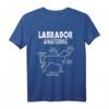 Labrador Anatomie Hundebesitzer Lustiges Hunde T-Shirt - Perfektes Geschenk für Hundeliebhaber, Züchter & Herrchen/Frauchen