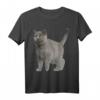 Britisch Kurzhaar Katze T-Shirt - Süße Katzenmotive, Geschenk zum Geburtstag für Katzenliebhaber, Mama & Papa Shirts