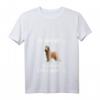 Damen HapFrog T-Shirt mit V-Ausschnitt - Lustiges Briard Motiv für Hundeliebhaber und Briard-Fans