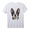 Französische Bulldogge mit Regenbogen-Lutscher - Kreatives Hundedesign T-Shirt für Hunde- und Welpenliebhaber, ideales Geschenk