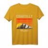 Chantilly Virginia Retro Vintage Stadt und Bundesstaat Souvenir T-Shirt – Perfekt für Virginia-Liebhaber und US-Städte-Sammler