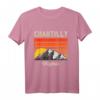 Chantilly Virginia Retro Vintage Stadt und Bundesstaat Souvenir T-Shirt – Perfekt für Virginia-Liebhaber und US-Städte-Sammler