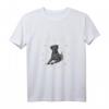 Herren HapFrog T-Shirt - Klassisch geschnitten mit doppeltem Saum, ideales Geschenk zum runden Geburtstag
