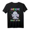 Awesome Since 2010 Baby Elefanten T-Shirt – Niedliches Geburtstagsgeschenk für Kinder, Jungen und Mädchen, perfekt für Geburtstags- und Jahrestagsgeschenke
