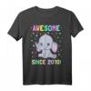 Awesome Since 2010 Baby Elefanten T-Shirt – Niedliches Geburtstagsgeschenk für Kinder, Jungen und Mädchen, perfekt für Geburtstags- und Jahrestagsgeschenke