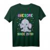 Awesome Since 2010 Baby Elefanten T-Shirt – Niedliches Geburtstagsgeschenk für Kinder, Jungen und Mädchen, perfekt für Geburtstags- und Jahrestagsgeschenke
