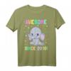 Awesome Since 2010 Baby Elefanten T-Shirt – Niedliches Geburtstagsgeschenk für Kinder, Jungen und Mädchen, perfekt für Geburtstags- und Jahrestagsgeschenke