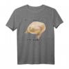 „It is Wednesday My Dudes“ Lustiges Frosch Meme T-Shirt – Original, Klassisch, Halbarm für Büro, Party & Freizeit