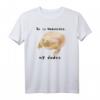„It is Wednesday My Dudes“ Lustiges Frosch Meme T-Shirt – Original, Klassisch, Halbarm für Büro, Party & Freizeit