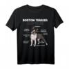 Boston Terrier Anatomie T-Shirt – Klassisch geschnitten, ideal für Hunde-Fans und Tierliebhaber