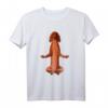 Yoga Hund Irish Red Setter T-Shirt – Lustige Geschenkidee für Hundeliebhaber, Gassi-Gänger & Hundeplatzbesucher