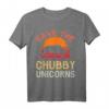 Save The Chubby Unicorns T-Shirt - Vintage Retro Sonnen Shirt mit Einhorn-Parodie, Lustiges Tiermotiv, Ideal als Geschenk im 70er/80er Stil