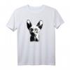 Haarlose Katze T-Shirt - Lustiges Tiermotiv, Klassisch Geschnitten für Katzenliebhaber & Tierfreunde