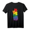 Regenbogen Flagge Pride Monat LGBTQ+ Katze T-Shirt – Buntes Support-Shirt für Pride und LGBTQ+ Community