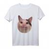 Lustiges HapFrog Katzen T-Shirt – Originelles Geschenk für Katzenliebhaber und Tierfans