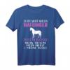 Mein Glück Mein Traum... Haflinger Haffi Mädchen Frauen T-Shirt – Perfektes Geschenk für Pferdeliebhaber, Reiter und Ponysport-Fans