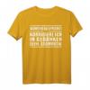 Lustiges Grammatik T-Shirt für Lehrer und Besserwisser mit Retro Look - Spruch: 'Während du sprichst, korrigiere ich in Gedanken deine Grammatik'
