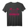 Cooles Pferde T-Shirt Damen mit Spruch - Lustiges Reiter Shirt für Pferdefreundinnen & Stallbesitzerinnen, perfektes Geschenk zum Geburtstag