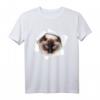Niedliche Katze zerrissen - Ragdoll Cat T-Shirt für Katzenliebhaber, Familie & Tierfreunde zum Geburtstag, Weihnachten & Katzentag