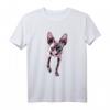 Sphynx Nacktkatze Blaue Augen Vintage Katzenmotiv T-Shirt für Katzenliebhaber - Damen & Herren Mode