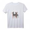 Zwergpinscher Zwei Zwergpinscher Hund Miniature Pinscher T-Shirt – Lustiges Hundedesign für Hundeliebhaber & Züchter